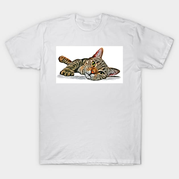 Shelter Cat #7 T-Shirt by markross